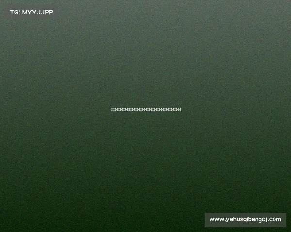 激情与荣耀：本次赛事亮点深度剖析再现运动员奋斗故事精彩瞬间